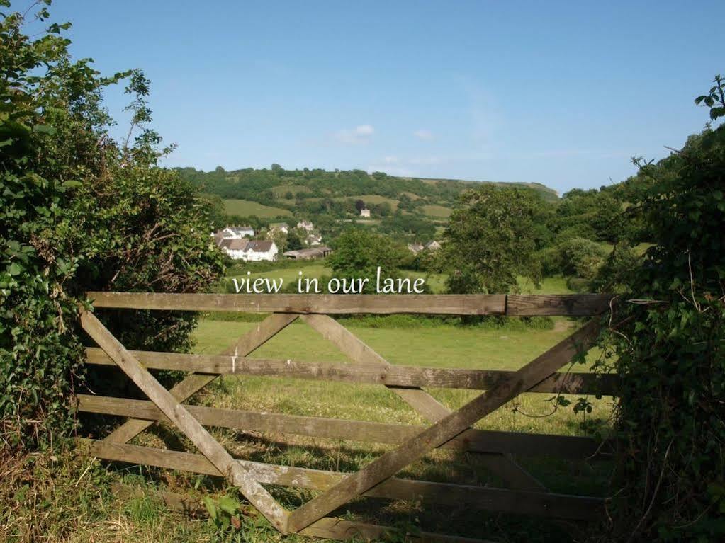 Stunning Countryside Views & Private Balcony! Cozy Room, 3 Miles To Lyme Regis - Free Parking & Wifi Axminster Bagian luar foto