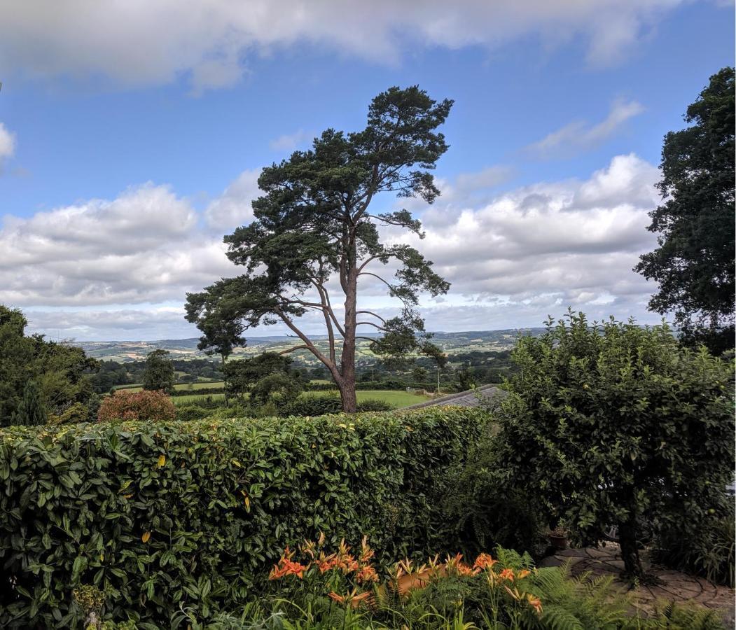 Stunning Countryside Views & Private Balcony! Cozy Room, 3 Miles To Lyme Regis - Free Parking & Wifi Axminster Bagian luar foto