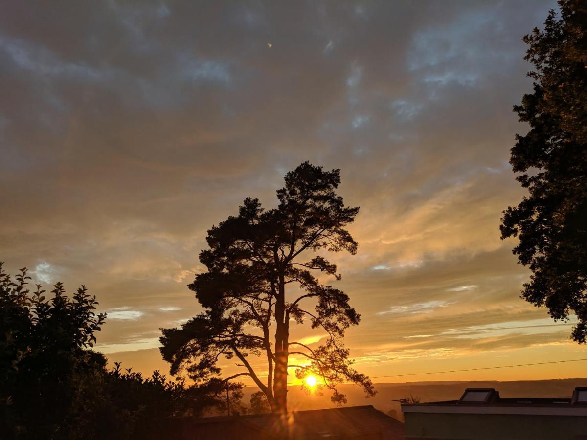 Stunning Countryside Views & Private Balcony! Cozy Room, 3 Miles To Lyme Regis - Free Parking & Wifi Axminster Bagian luar foto